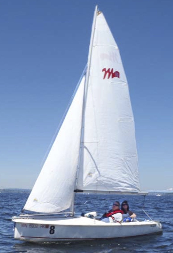 martin 16 sailboat for sale